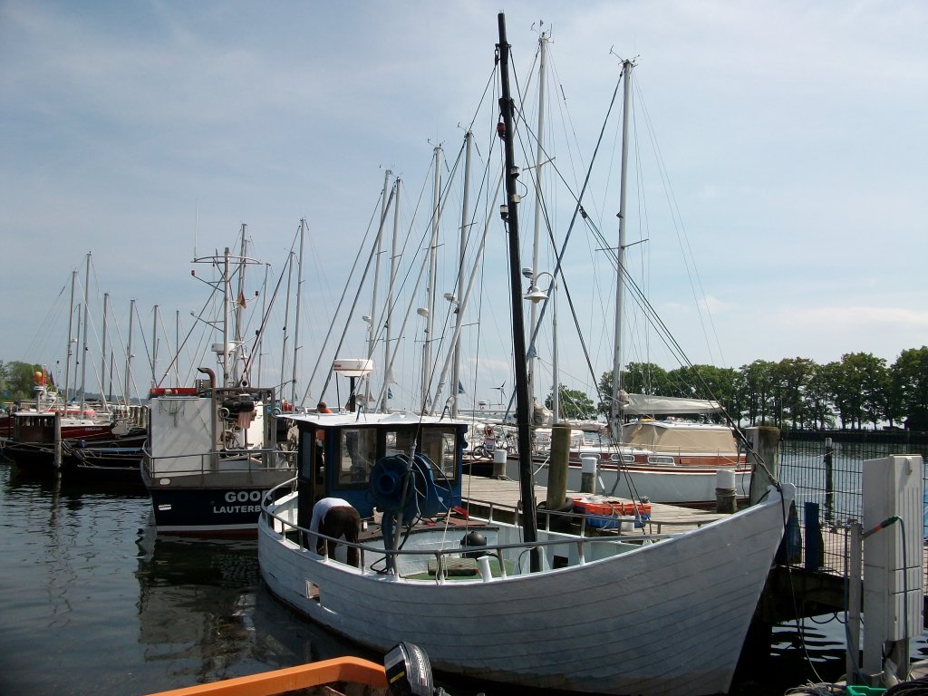 Fischkutter im Hafen in Lauterbach