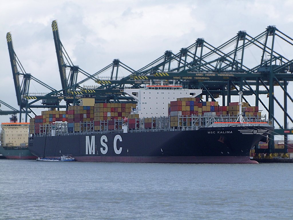 MSC-KALINA;IMO-9399026;L=366,B=52mtr. im MSC-Home-Terminal in Antwerpen;100830