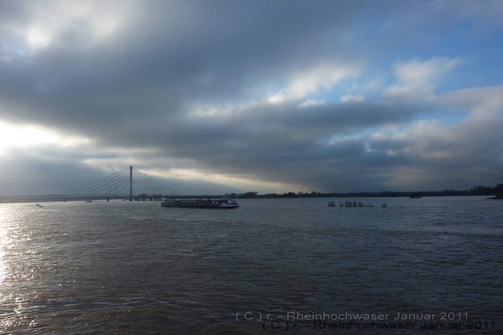 Rheinhochwasser im Januar 2011

