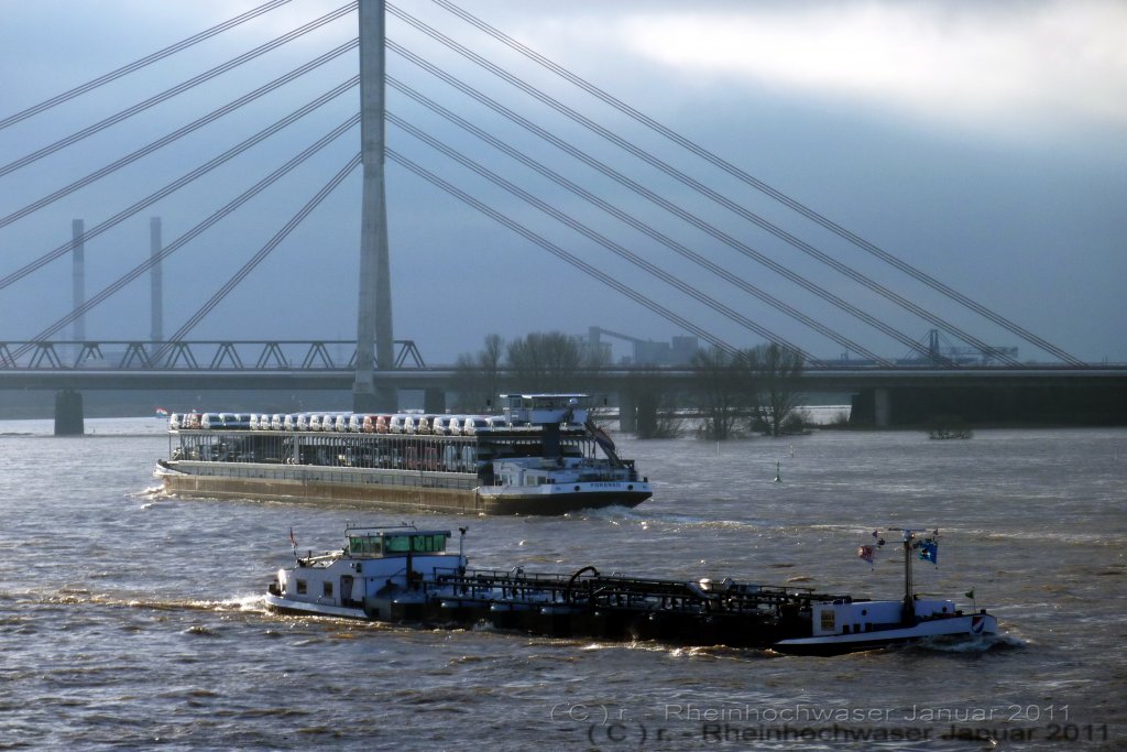 Rheinhochwasser im Januar 2011