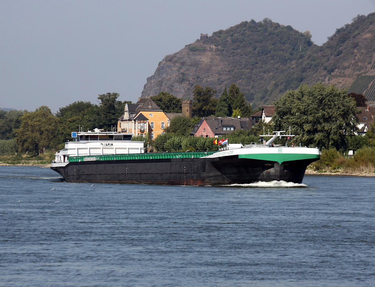 CMS ALFA-GRANDE ENI 02330686 L.135 m B.17,10 m T.6438 TEU 398 bei 4 Lagen,500 bei 5 Lagen  Flagge Niederlande auf dem Rhein am 20.09.2024 zu Berg in Andernach.