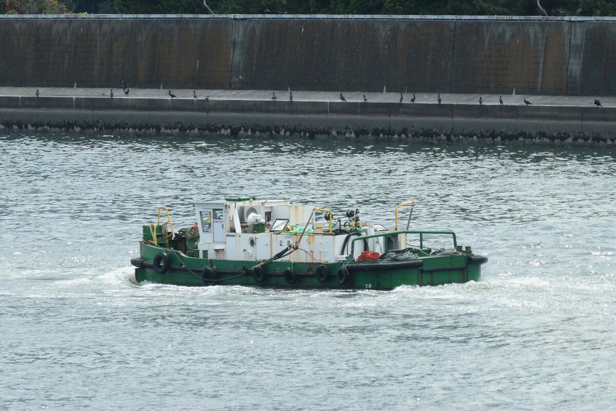 Das Schubschlepper  Kôshin Maru (公進丸) im Anschluss an der Schleppverband unter Führung von  Eishin Maru Nr.11 . 24.Juni.2024.