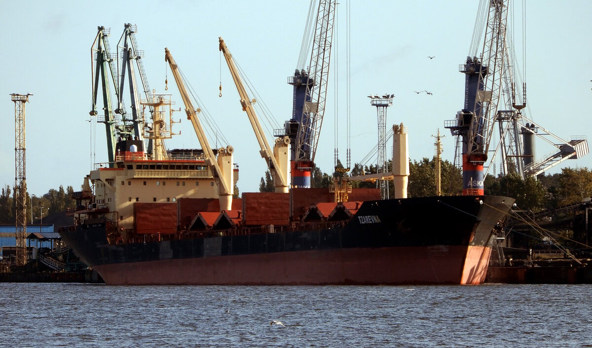 Der 168m lange Bulker TZAREVNA am 11.10.24 in Swinemünde