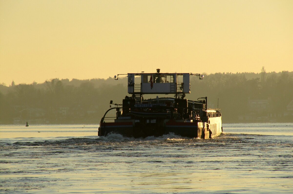 Der untergehenden Sonne hinterher , aber keine Chance diese einzuholen.
Schubboot  SCH 2637  (05800980 , 28,67 x 10,13m) schob am 09.01.2024 den RoRo-GSL Ursus (04810440 , 64,50 x 9,5m) auf der  HAVEL  kurz hinter dem Pichelsdorfer Gmünd zu Tal . 