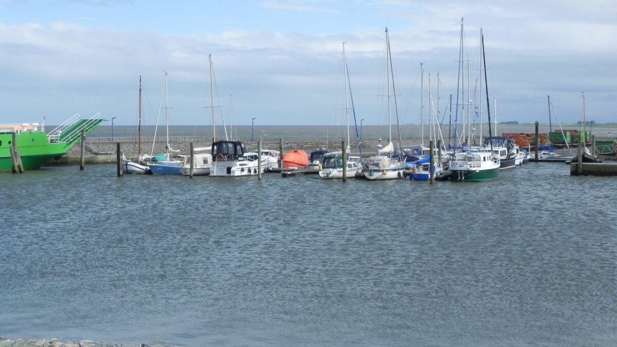 Der Yachthafen von Neuharlingersiel in Ostfriesland am 09.08.24.