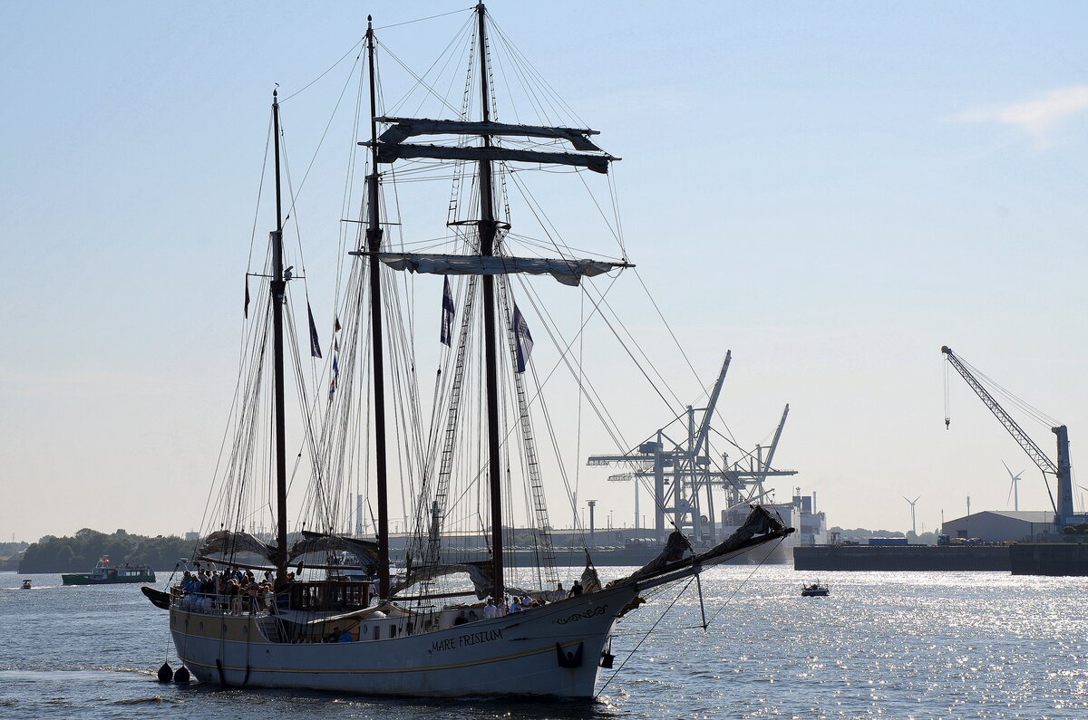 Die MARE FRISIUM IMO-Nummer:5344592 Flagge:Niederlande Länge:50.0m Breite:6.0m Baujahr:1916 Bauwerft:Weerter Scheepsbouw,Weert Niederlande im Hamburger Hafen am 01.09.24
