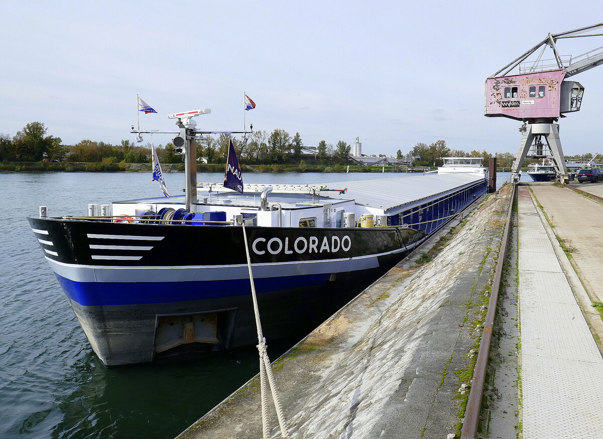 GMS Colorado, im Rheinhafen Breisach, L=86m, Tonnage 1683t, 2x600PS, Baujahr 1958, Heimathafen Basel/CH, Okt.2024