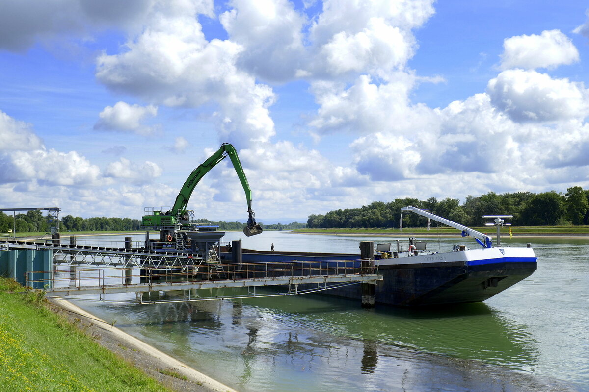 GMS Cottans 6, an der Kiesverladestelle am Rhein bei Rhinau/Elsaß, L=73m, Tonnage 1071t, 511PS, Baujahr 1980, Heimat Niederlande, Aug.2024