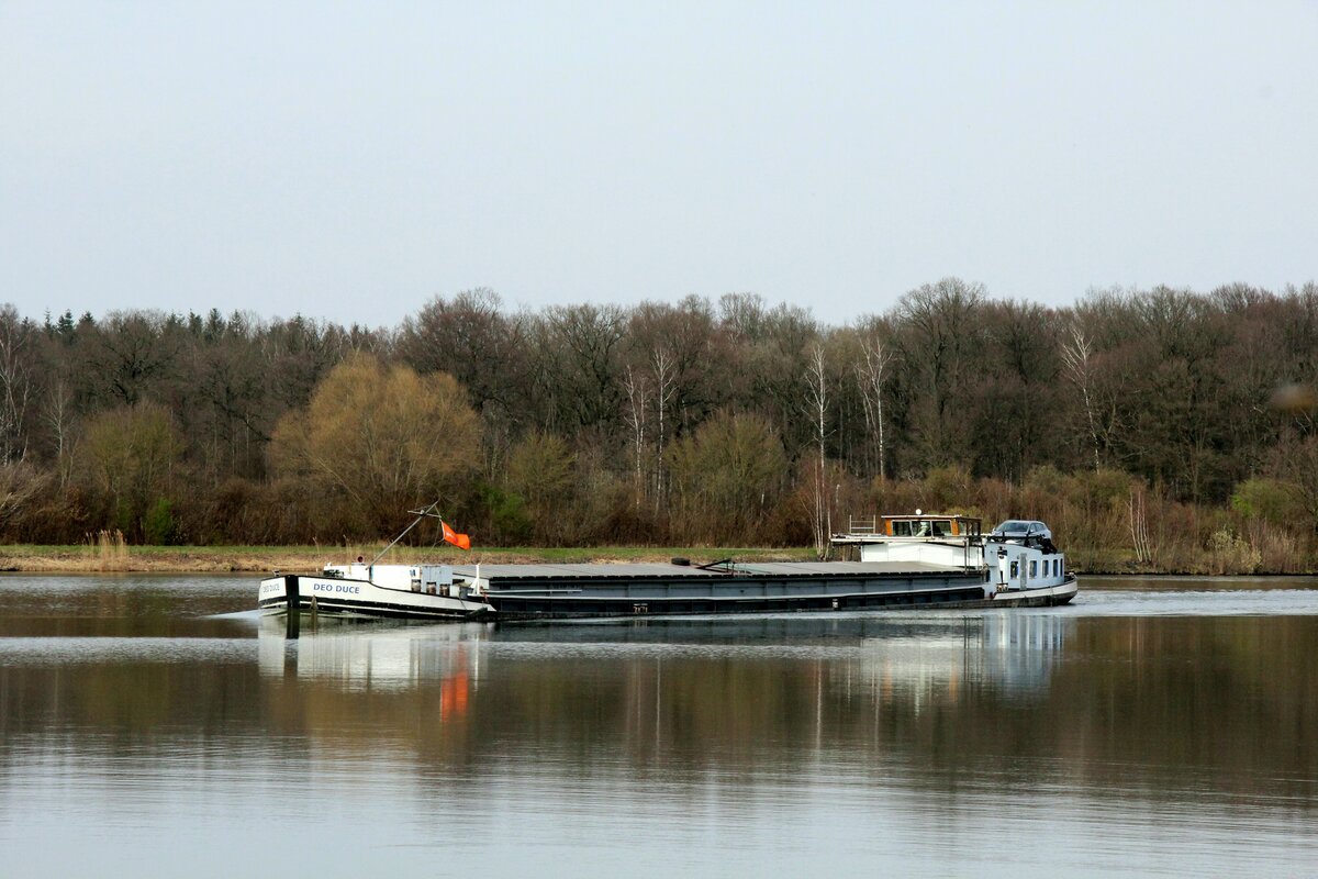 GMS  DEO DUCE  (02314010 , 70 x 7,04m) am 19.03.2024  auf dem  MITTELLANDKANAL  Höhe Edesbüttel / Abzweig Elbe-Seitenkanal zu Tal .