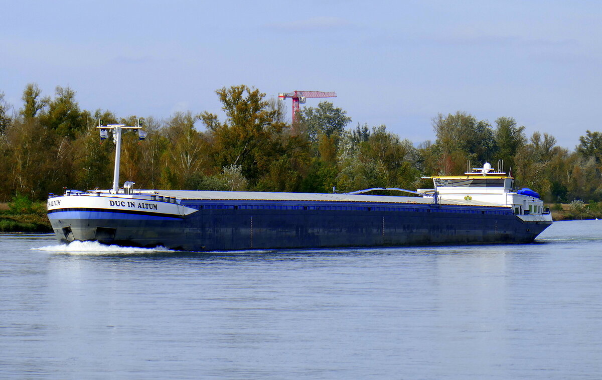 GMS Duc in Altum, rheinaufwärts vor Breisach, L=135m, Tonnage 3903t, 2x1278PS, Baujahr 2008, gemeldet in Maasbracht/NL, Okt.2024