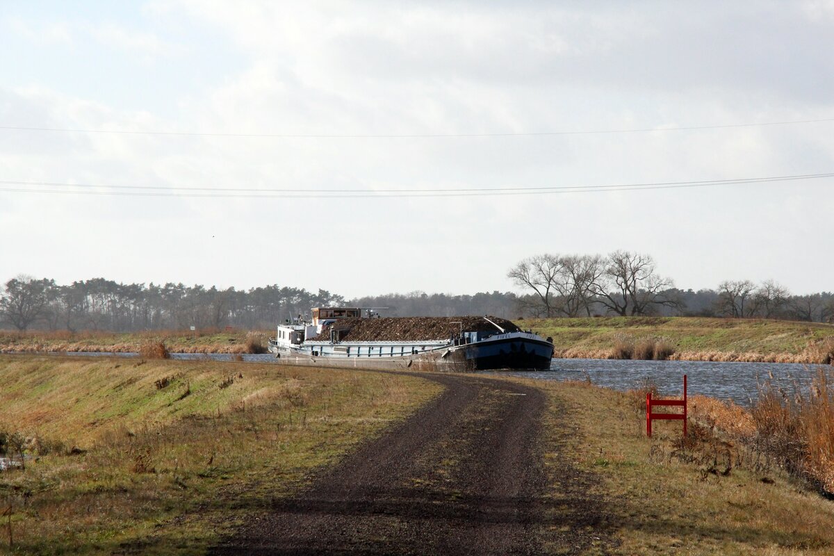 GMS  FIVEL  (02300065 , 64,5 x 8,12m)  am 01.02.2024  auf dem  ELBE-HAVEL-KANAL  zu Berg zw. Ihleburg und der Schleuse Zerben. Löschhafen : Berlin-Rudow. 