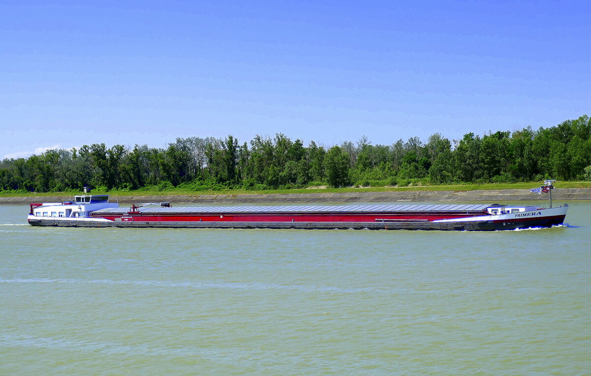 GMS Primera, rheinabwärts bei Fessenheim/Elsaß, L=110m, Tonnage 2063t, 1250PS, Baujahr 1982, Heimat Niederlande, Juni 2024