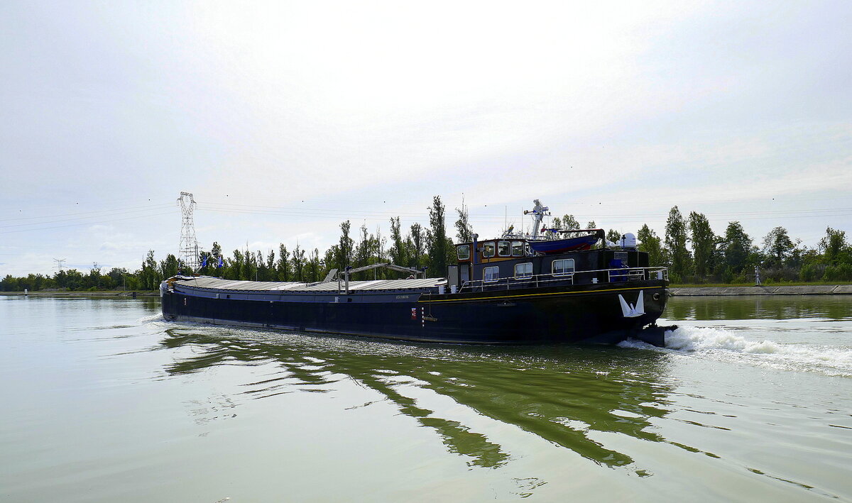 GMS San Antonio, rheinaufwärts nach dem Verlassen der Schleuse Vogelgrün/Elsaß, Sept.2024