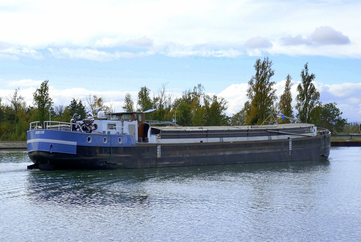 GMS Serjos, rheinabwärts vor der Schleuse Vogelgrün/Elsaß, Okt.2024