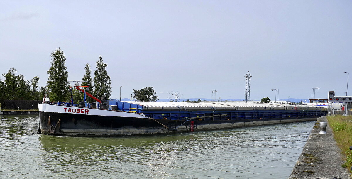 GMS Tauber, verläßt die Schleuse Vogelgrün/Elsaß rheinaufwärts, L=105m, Tonnage 2085t, 1200PS, Baujahr 1959, gemeldet in Stockstadt am Main, Okt.2024 Sept.2024