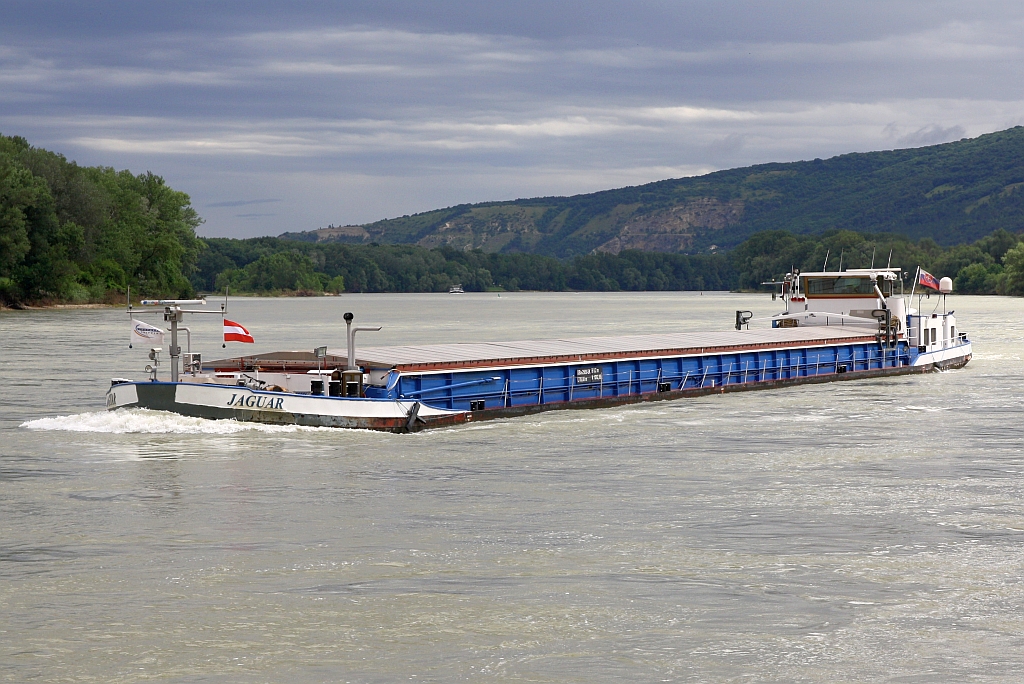  Jaguar  (Baujahr 1962 - C. Pape, Rönnebeck / Bremen - Heimathafen Bratislava, Slovakei) MMSI 267210242 am 22.Juni 2024 auf der Donau bei Hainburg.