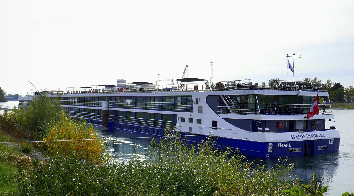 KFGS Avalon Panorama, ankert in Breisach am Rhein, Heckansicht, Okt.2024