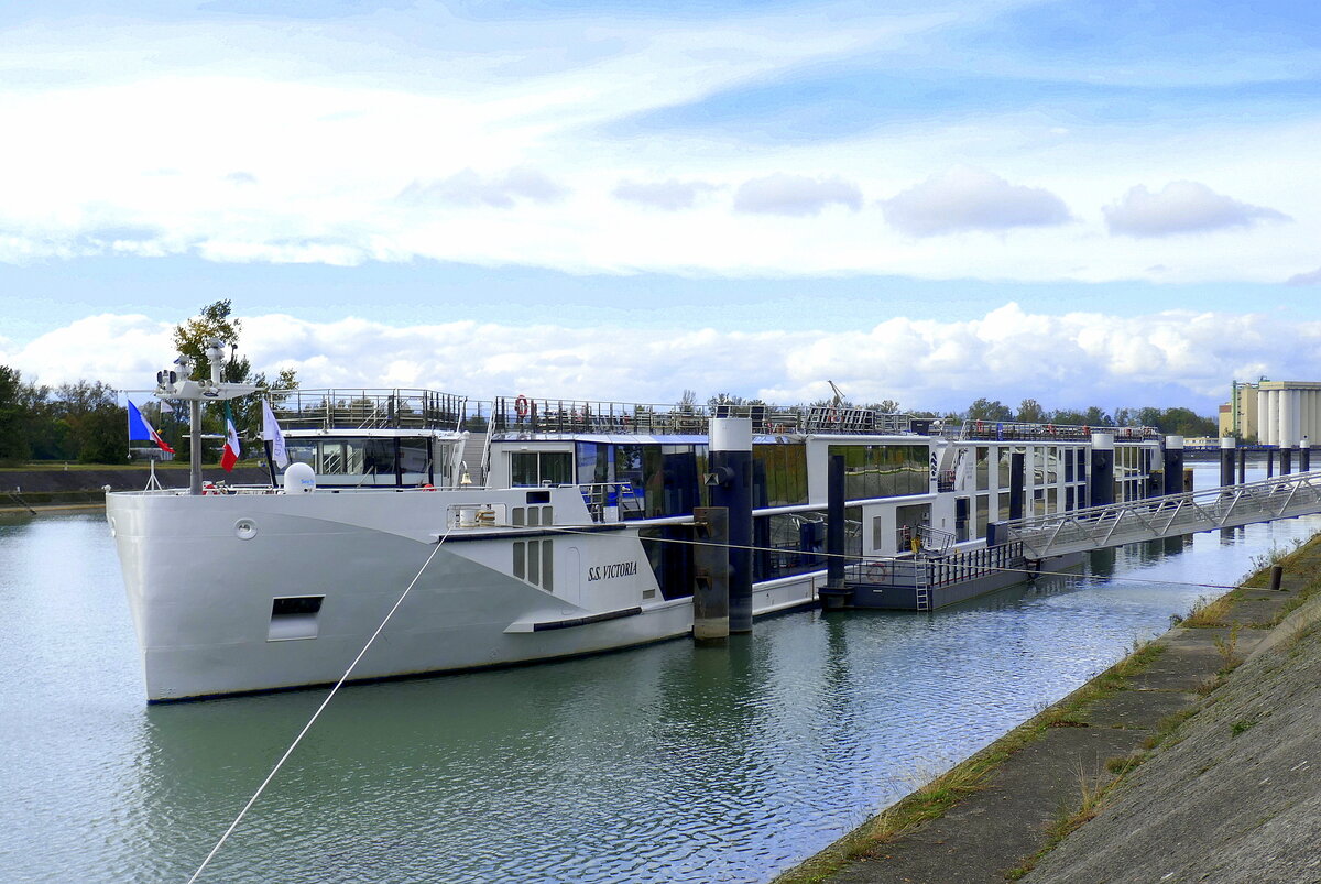 KFGS SS Victoria, ankert vor der Schleuse Vogelgrün/Elsaß, L=135m, 110 Passagiere, 1958PS, Baujahr 2017, Heimathafen Basel/CH, Okt.2024