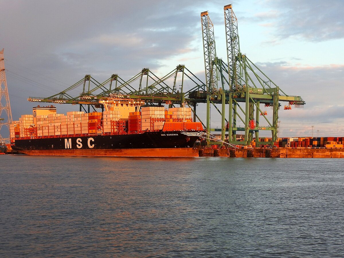 MSC-EUGENIA (IMO9785469; L=328m; B=48m; Tiefgang 16m; 12108TEU; Bj.2002) hat bei Morgenröte im Hafengebiet von Antwerpen festgemacht; 240612