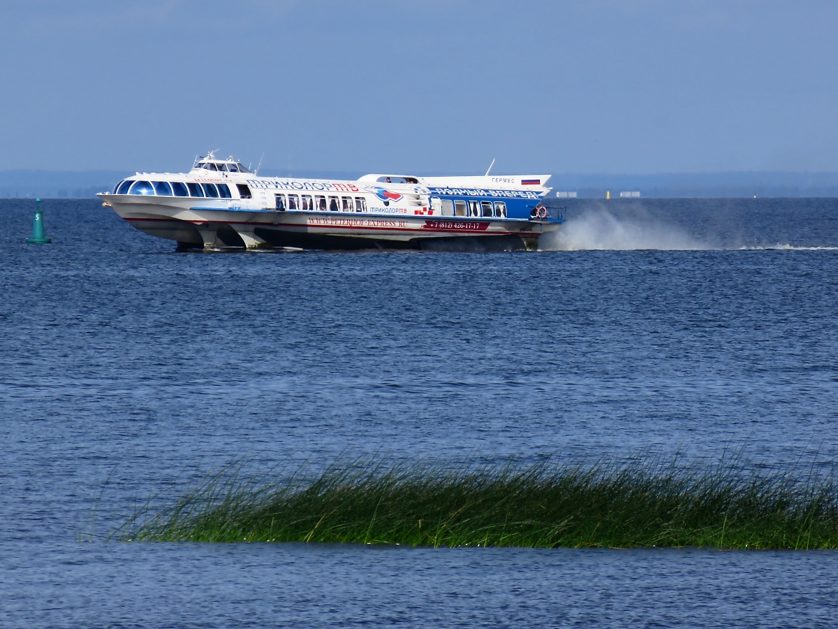 Obwohl nicht mehr weit von Peterhof entfernt, ragt die гермес (Hermes) noch weit aus dem Wasser, 20.8.17