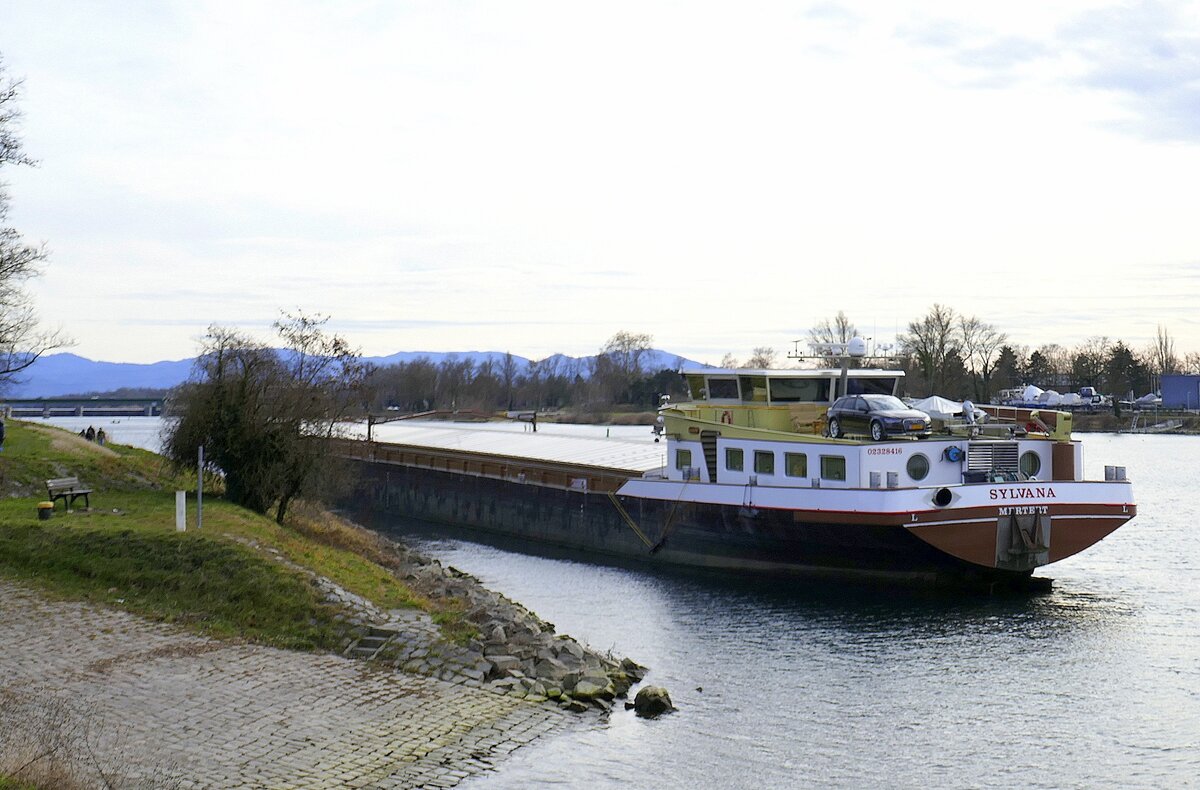 SGMS Sylvana, hat in Breisach am Rhein festgemacht, Heckansicht, Jan.2025