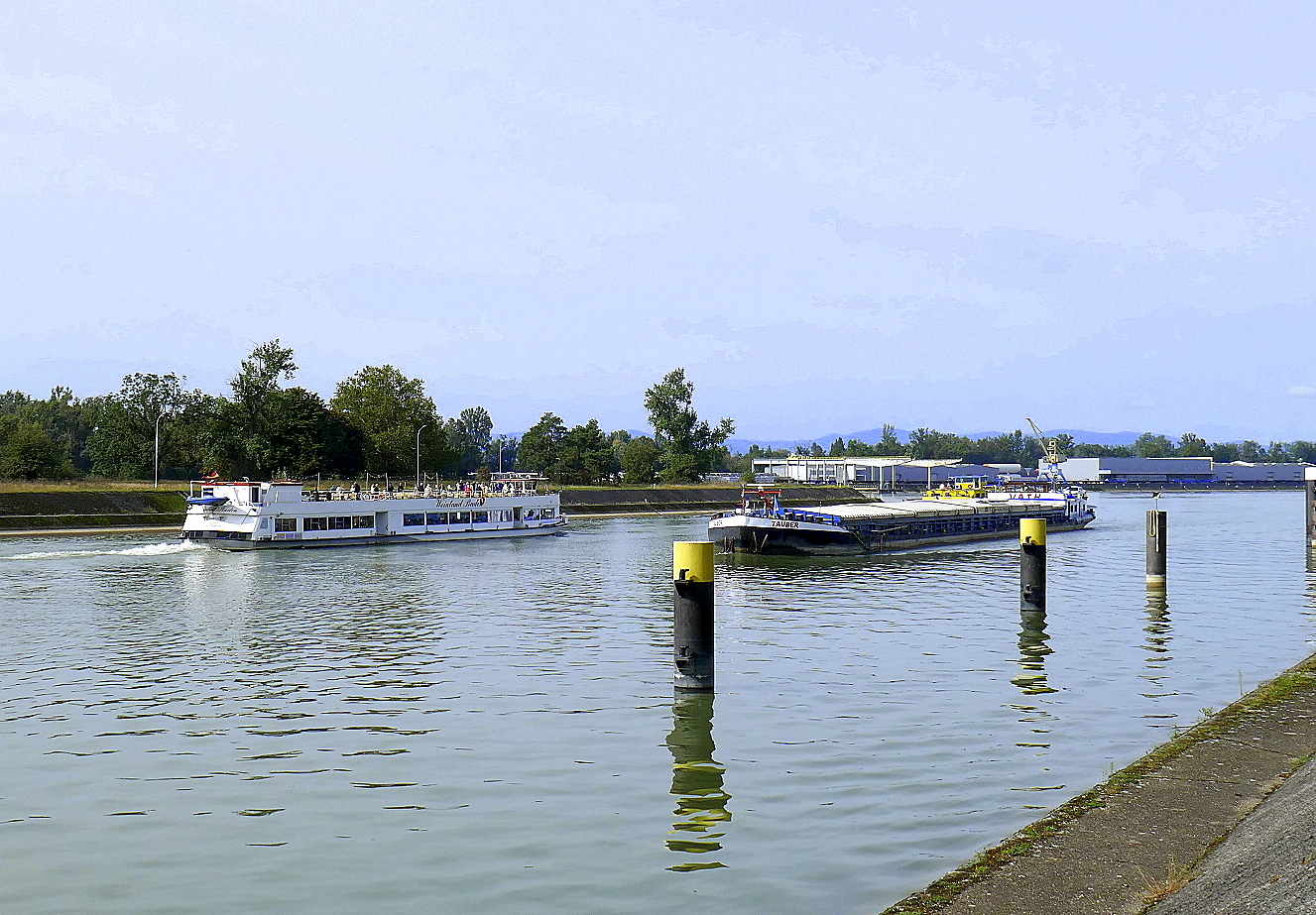 GMS Tauber, rheinaufwärts vor der Staustufe Vogelgrün/Elsaß, FGS Weinland Baden rheinabwärts, Sept.2024