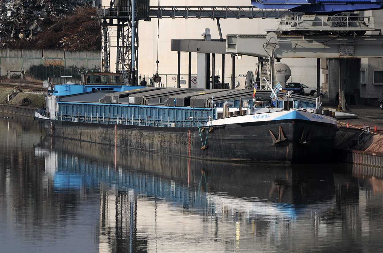 MARIANA (4401410) in Plochingen 19.01.2024