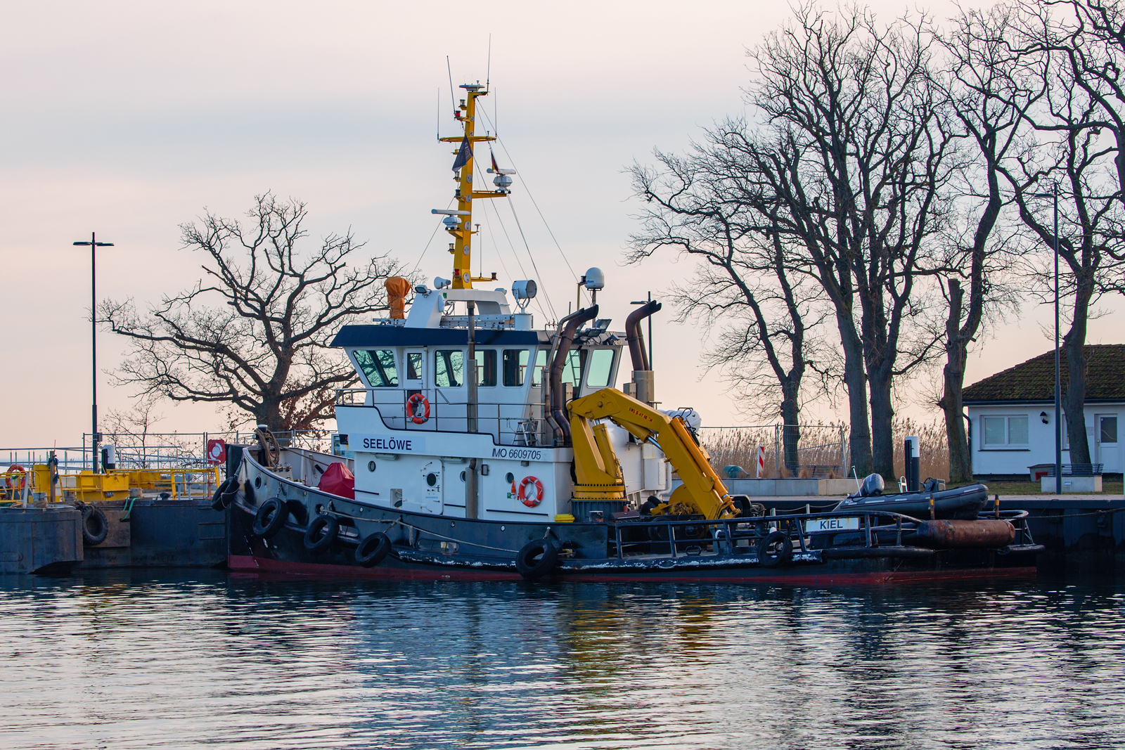 Schlepper SEELÖWE im Hafen Lauterbach. - 22.02.2025