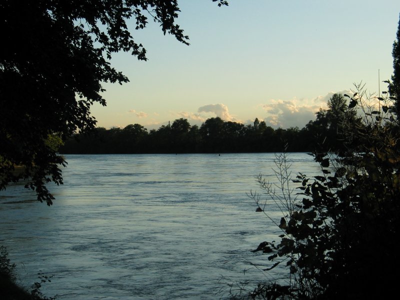 Abends am Rhein