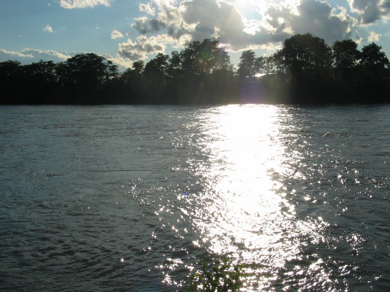 Blick ber den Rhein (Abendstimmug)