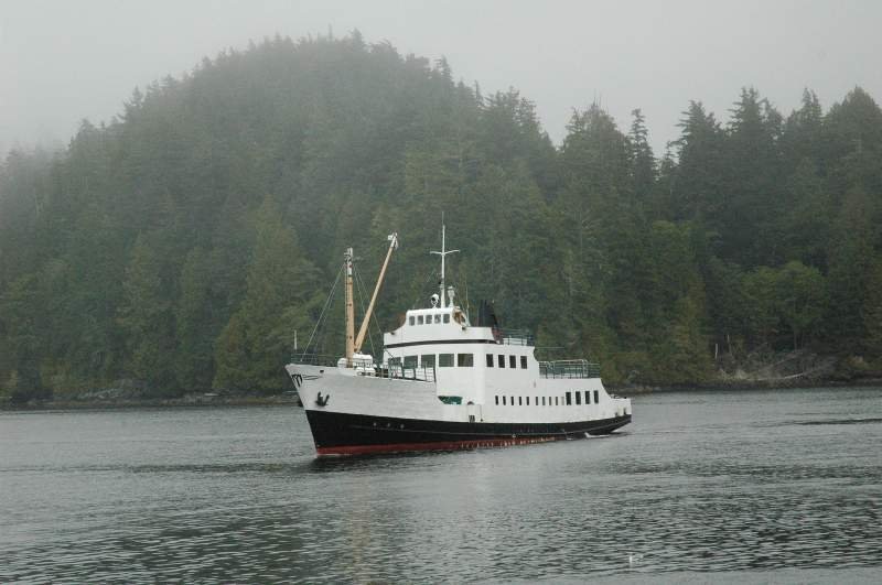 Die Frances Barkley in Bamfield