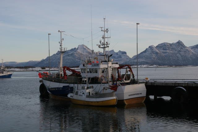 Fischerboote im Hafen von Skutvik.