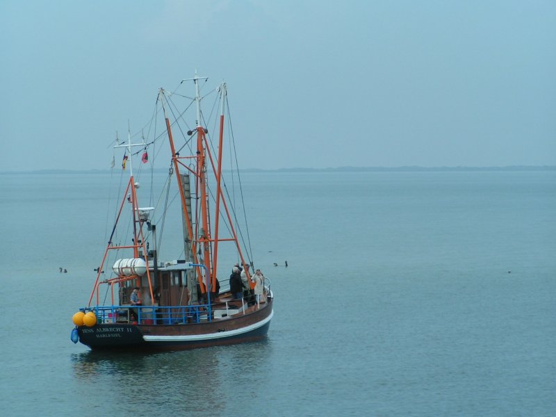  Fischkutter Jens Albrecht II bei einer Fahrt im Wattenmeer mit Krabbenkochen an Bord, auch einige Seehunde tummeln sich vor dem Schiff im Meer 060826