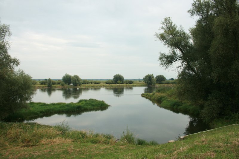 Oderbucht bei Eisenhttenstadt