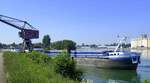 GMS FIDATO, im Hafen von Breisach am Rhein, L=80m, Tonnage 1110t, 750PS, Baujahr 1963, Heimat Niederlande, Juli 2024