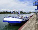 GMS Michelangelo, liegt im Rheinhafen von Breisach, L0135m, Tonnage 3921t, 2x1521PS, Baujahr 2008, Heimat Niederlande, Aug.2024