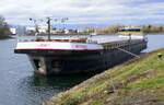 SGMS Sylvana, hat in Breisach am Rhein festgemacht, L=110m, Tonnage 3137t, 2176PS, Baujahr 2008, gemeldet in Mertert/NL, Jan.2025