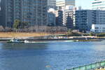 Das Schleppboot  Eishin Maru Nr.20 (第二十栄進丸) und der lastkahn  Sankô Maru Nr.36 (三港丸36号) unterwegs nach süden den Sumida-Fluss, 22.Jan.2025.