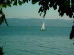 Blick auf den Bodensee. Aufgenommen im Juli 2008.