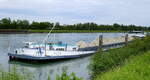 GMS Elfe, im Hafen von Breisach am Rhein, L=105m, Tonnage 2569t, 900PS, Baujahr 1988, Heimathafen Neckargmünd, Juni 2024