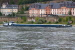 Das Gütermotorschiff TEMPORE (ENI: 0231612), Flagge: NED, am 23.09.2024 bergaufwärts auf dem Rhein bei Ehrenbreitstein.