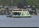 Zürichsee - Autofähre  BURG unterwegs auf dem Zürichsee vor Horgen am 2024.12.21