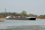 TMS  BERNHARD DETTMER  (04806430 , 100 x 9,50m) bog am 19.03.2024 , vom  ELBE-SEITENKANAL  zu Berg kommend , nach Steuerbord in den  MITTELLANDKANAL  zu Tal ab. Dieses Wasserstrassen-Dreieck befindet sich bei Edesbüttel.