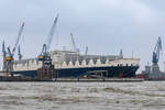  Atlantic Sea  - IMO 9670697 - ConRo - Länge 296m, Breite 38m - 3800 Teu - Hamburger Hafen - 14.10.2017...