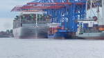 Das Containerschiff  OOCL Abu Dhabi  am 10.06.24 am Container Terminal Tollerort im Hamburger Hafen. Das Schiff mit der IMO 9922524 ist 399,99 m lang und fährt unter der Flagge von Hongkong.