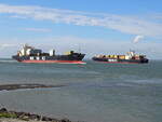 Kreuzung mit der  MSC Mandy III  und der  MSC Mia Summer II . Terneuzen Westerschelde - 29-08-2024