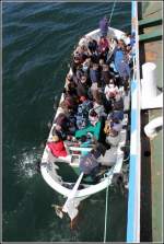 Einbooten auf ein Fahrgastschiff bei Helgoland. Vier krftige Mnner untersttzen die Passagiere tatkrftig beim Umsteigen aus dem Brteboot ins Schiff. 30.04.2012