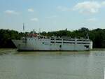 MIRA (IMO8300157; 78x13mtr.; DWT1555; Bj.1983) von Afana Brothers Co. wartet zwischen Galati und Pehi als sogenannter   Livestock carriers  wieder Lebendvieh (ggf. auch Nutzvieh) am Wasserweg zu tranportieren; 230704