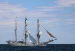 Das Segelschiff Artemis am 10.08.2024 auf der Ostsee vor Warnemünde.