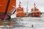 Lotsenversetzboot HOLTENAU am 04.01.2024 im Hafen von Lübeck-Travemünde.